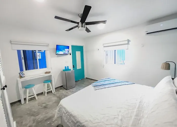 Villa Luxury 6-bed 6-bath- An Entire Private W-plung Pool-5th Ave & At Walking Distance Playa del Carmen