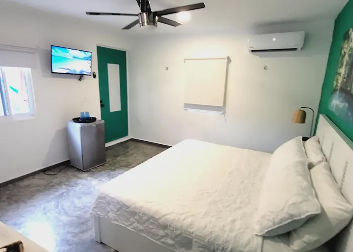 Villa Luxury 6-bed 6-bath- An Entire Private W-plung Pool-5th Ave & At Walking Distance Playa del Carmen