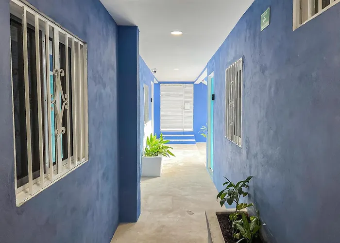 Luxury 6-bed 6-bath- An Entire Private W-plung Pool-5th Ave & At Walking Distance Playa del Carmen